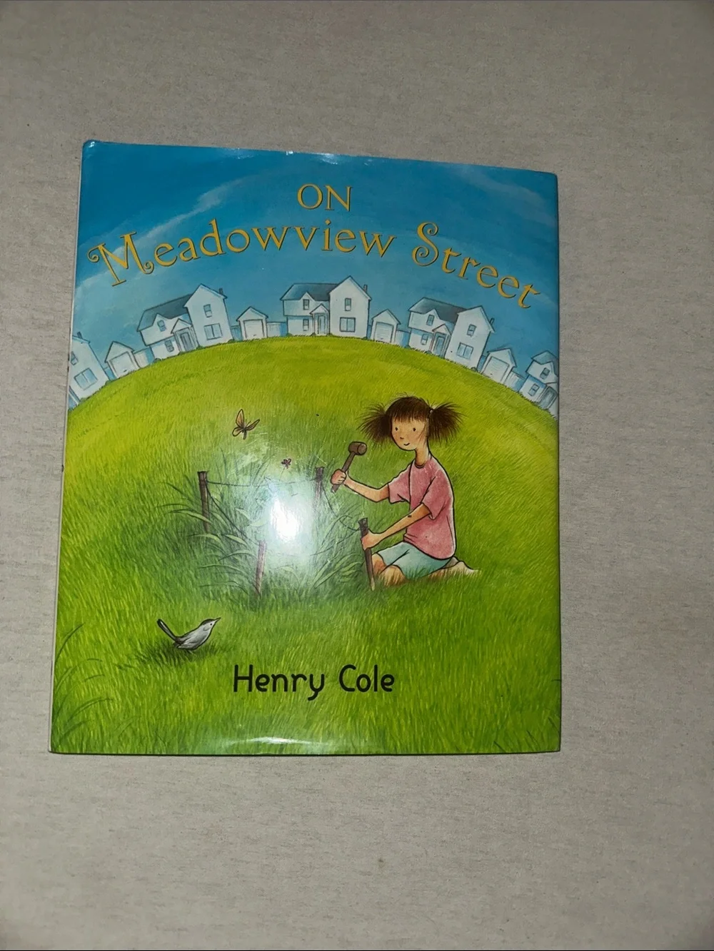Kids On Meadowview Street by Henry Cole - Children's Book - Blue & Green Cover